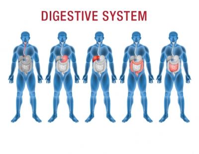 Food To Eat Arithritis Food To Eat Arithritis