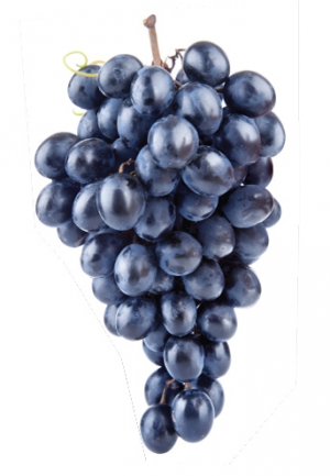 Phytonutrients Resveratrol 