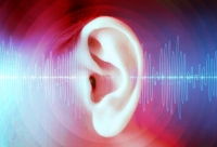 tinnitus hearing loss micronutrients 