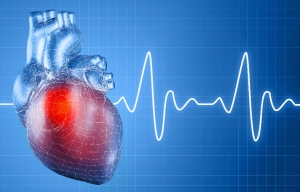 heart micronutrients