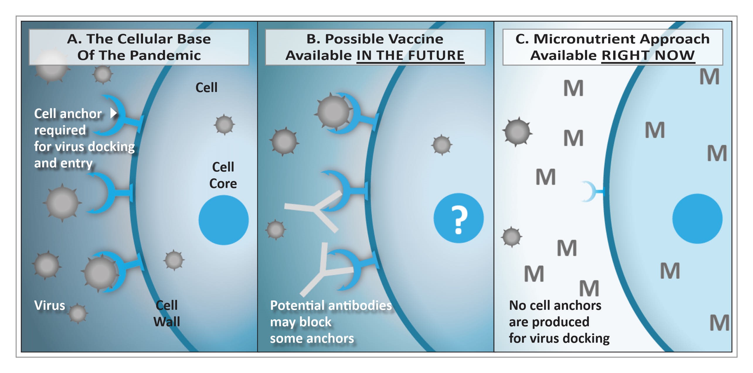 pandemic 6