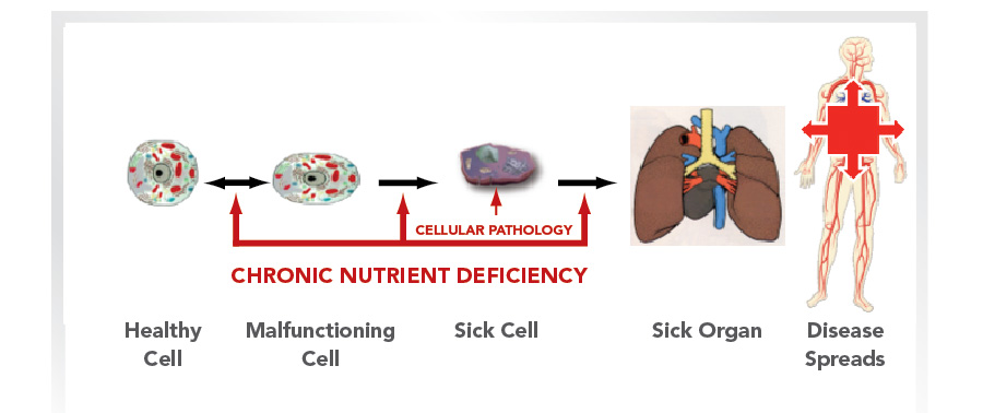 chronic nutrient defeciency dr rath