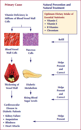 diabetes primary cause