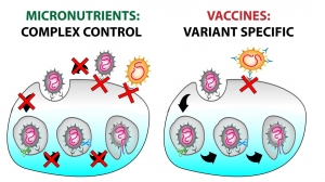 Covid 19 Vaccines vs. Micronutrients, Natural Approach to Sars-Cov-2 
