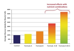 Blood Sugar Levels - with and without Micronutrients - Dr. Rath Research