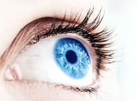 eyes vision micronutrients