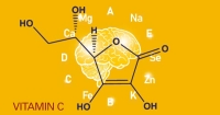 Micronutrients Can Benefit the Aging Brain