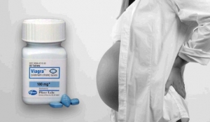 Be Cautious With Taking Prescription Drugs When Pregnant: The Case Of Viagra 