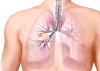 lung cancer micronutrients 