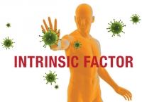 immune system micronutrients intrinsic factor 