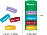 micronutrient synergy effect