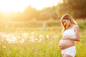pregnancy pills prenatal micronutrients 