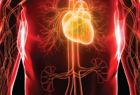 lung cancer micronutrients 