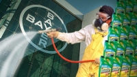 Beware of the bitten dog: How Bayer’s desperate situation could lead to desperate acts  , Monsanto, Bayer