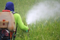 pesticides, roundup, Glyphosate, Herbicides, Dr Rath Research