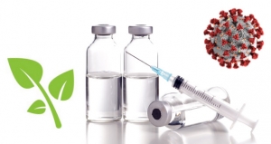 Vaccines, Phytonutrients and Coronavirus