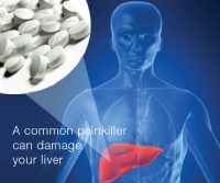 liver damage micronutrients 